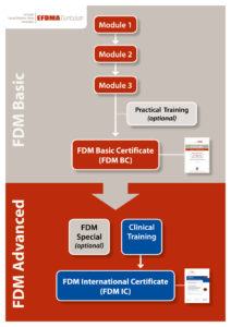 EFDMA Curriculum chart